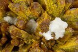 Vibrant Orpiment Crystal Cluster with Calcite - China #324445-1
